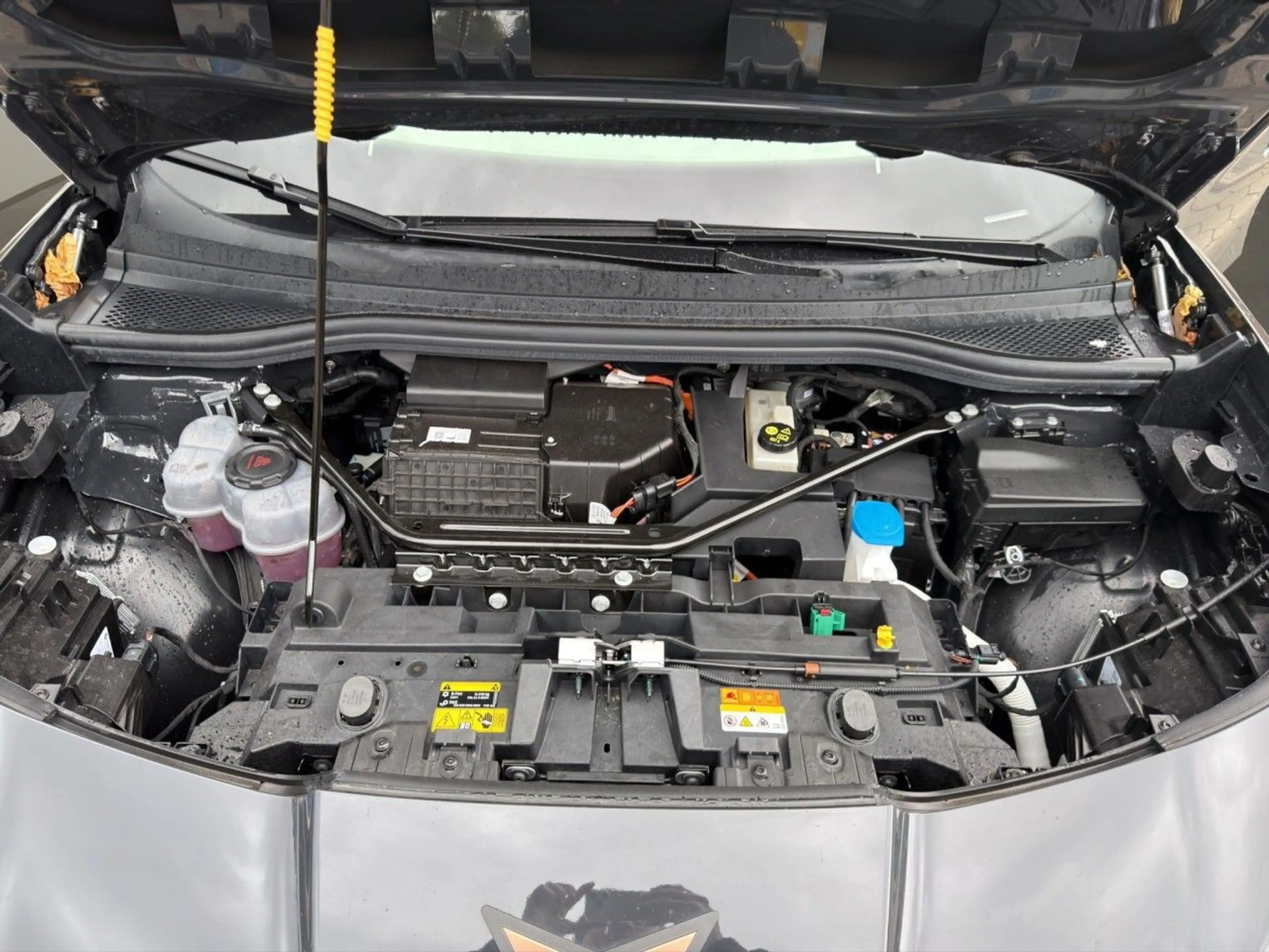 CUPRA Tavascan Endurance LED Navi Immersive Paket Wärmepumpe — photo 15