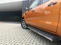 Ford Ranger 2.0 EcoBlue Wildtrak Supercab - 5 Persoons - Bomvo Orange - thumbnail 23