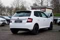 Skoda Fabia 1.4 TDI Monte Carlo /PANO /TÜV NEU Weiß - thumbnail 7