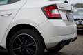 Skoda Fabia 1.4 TDI Monte Carlo /PANO /TÜV NEU Weiß - thumbnail 12