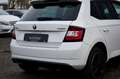 Skoda Fabia 1.4 TDI Monte Carlo /PANO /TÜV NEU Weiß - thumbnail 9