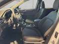 Ford Kuga 1.5 EcoBoost TITANIUM 110 kW, 5-türig Blanc - thumbnail 8