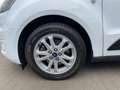 Ford Tourneo Connect Trend Privacy PDC Winter-Paket Blanc - thumbnail 15