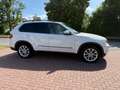 BMW X5 xDrive 35i Xenon Beiges Leder Panorama SOFT Close Weiß - thumbnail 6