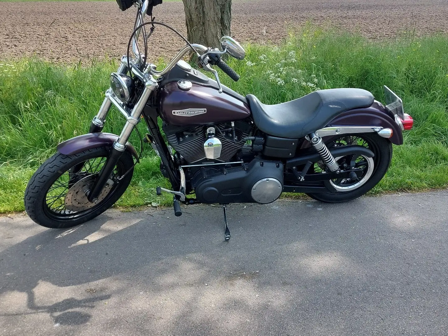 Harley-Davidson Dyna Street Bob FXDB Lila - 2