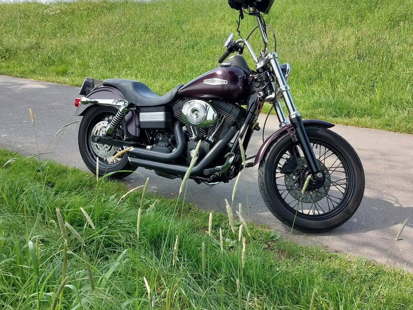 Harley-Davidson Dyna Street Bob FXDB Lila - 1