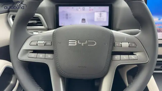 Byd Atto 2 view 13