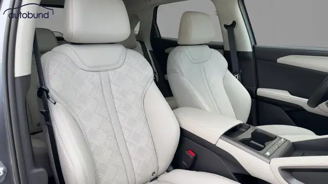 Byd Atto 2 view 7