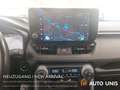 Toyota RAV 4 HEV 4WD*Led*Kam*Cruise*Spurhalteassistent Grau - thumbnail 9