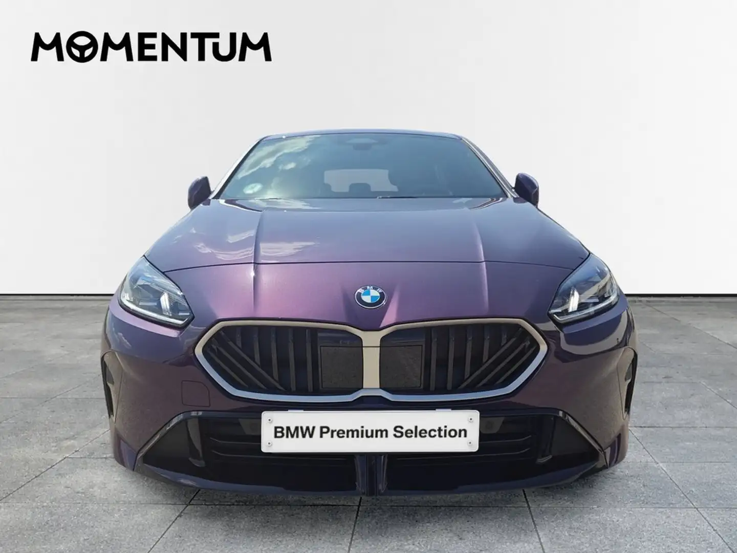 BMW 116 120dA Burdeos - 2