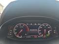 SEAT Ibiza Xcellence 1,0 TSI DSG Navi LED ACC Kamera Alcantar Grau - thumbnail 9