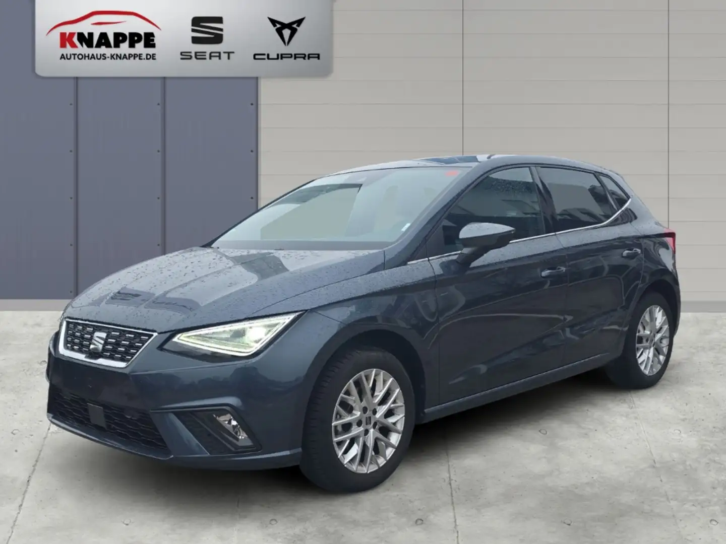 SEAT Ibiza Xcellence 1,0 TSI DSG Navi LED ACC Kamera Alcantar Grau - 1