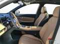 Geely Starray EM-i LAUNCH EDITION Weiß - thumbnail 8