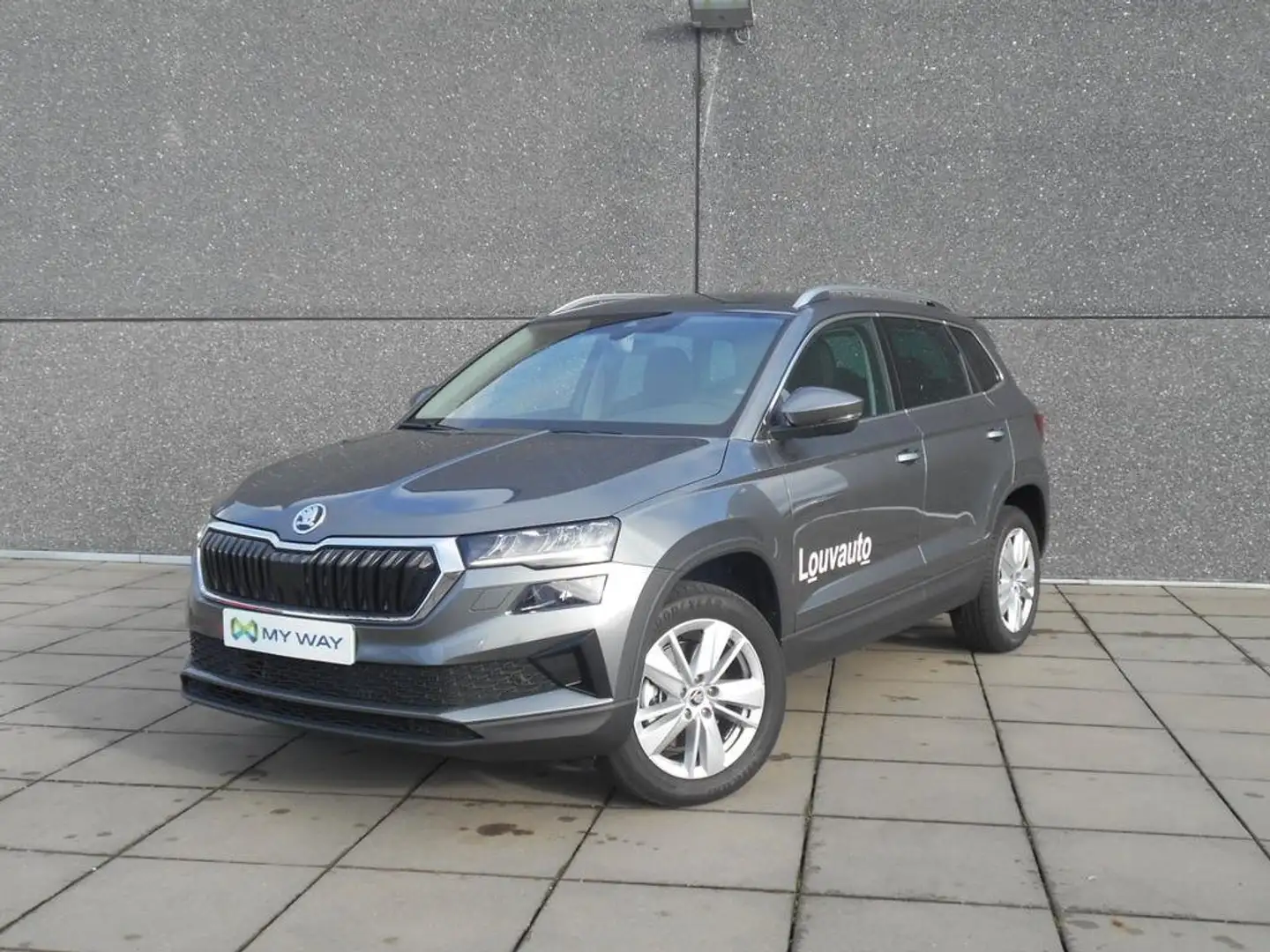 Skoda Karoq Karoq Clever+ 2,0 TDI 85 kW 6-speed mech. Grijs - 1