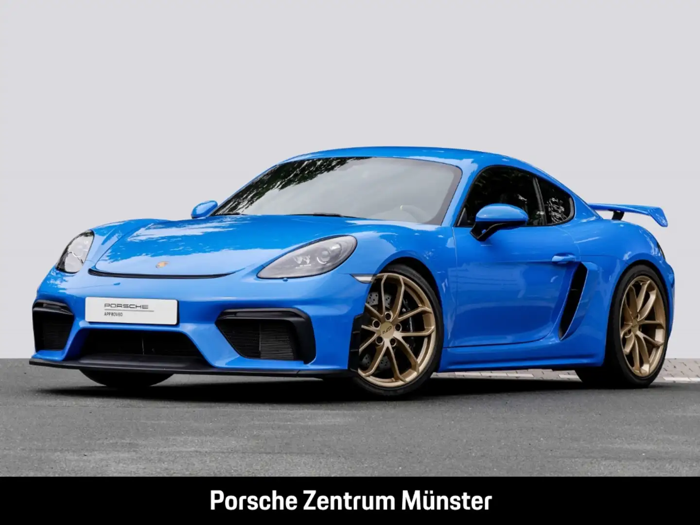 Porsche Cayman 718 GT4 Sport Chrono Sportabgasanlage LED Blauw - 1