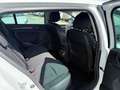 Renault Megane S.T. 1.5dCi Blue Equilibre 85kW Blanc - thumbnail 16