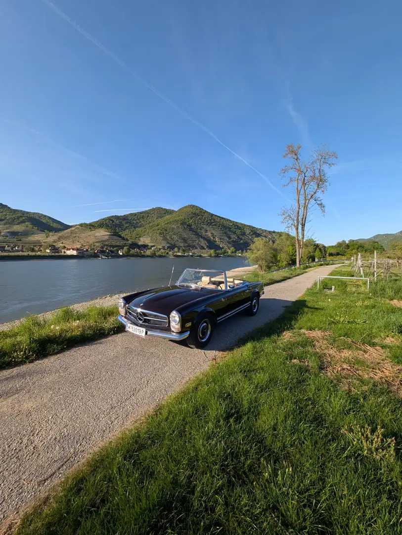 Mercedes-Benz SL 250 Pagode Braun - 2