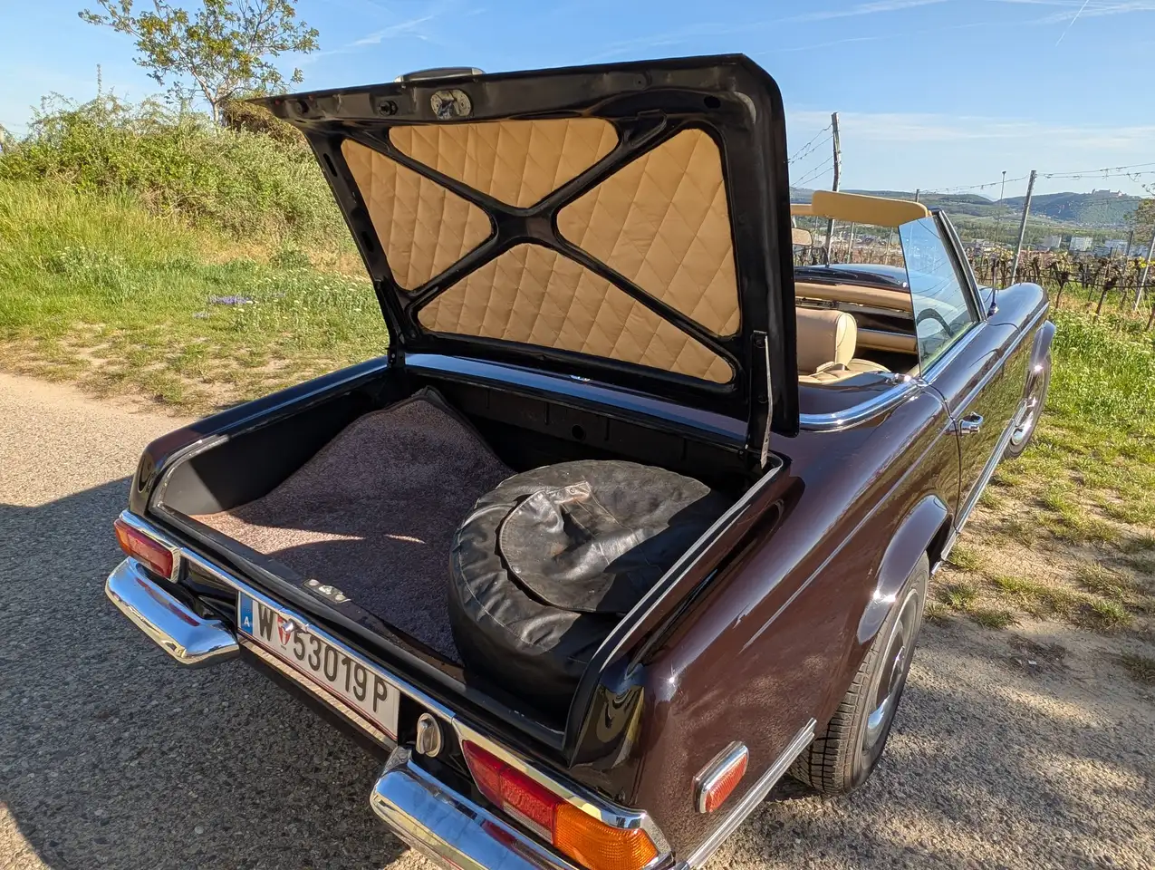 Mercedes-Benz SL 250 Pagode, foto 10