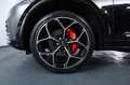 Audi Q5 55 TFSI e PHEV quattro S line+ Assistenzpaket M... Schwarz - thumbnail 14