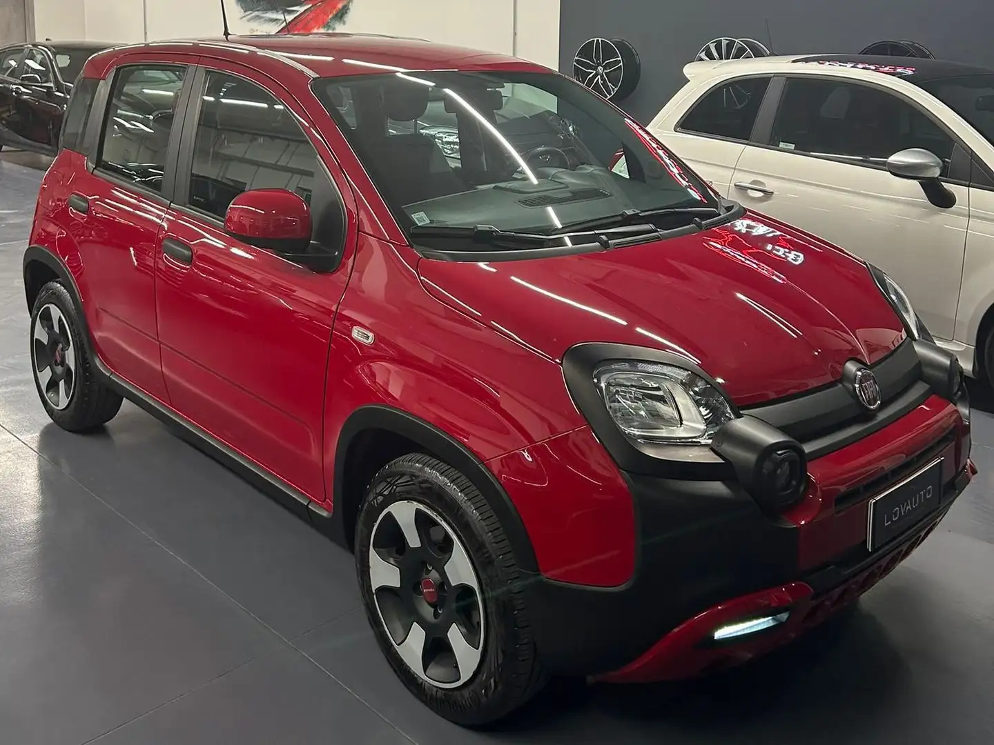 Fiat Panda Panda III 2021 Cross 1.0 firefly hybrid (Red) s Rosso - 2