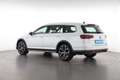 Volkswagen Passat Alltrack Passat Variant 2.0 TDI DSG 4MOTION Alltrack Weiß - thumbnail 4