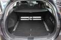 Kia Ceed / cee'd 1.6 GDI Spirit Navi*Xenon*AHK*2. Hand Grau - thumbnail 15