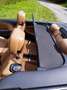 Opel Cascada Cascada 1.6 Innovation 1,6T 6G S/S Schwarz - thumbnail 6