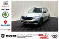 Skoda Kamiq Selection / DSG / Kamera / 17 Zoll Silber - thumbnail 1