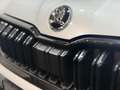 Skoda Kamiq Selection / DSG / Kamera / 17 Zoll Silber - thumbnail 15