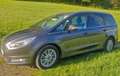 Ford Galaxy Galaxy 2,0 TDCi AWD Titanium Start/Stop Titanium Grau - thumbnail 1