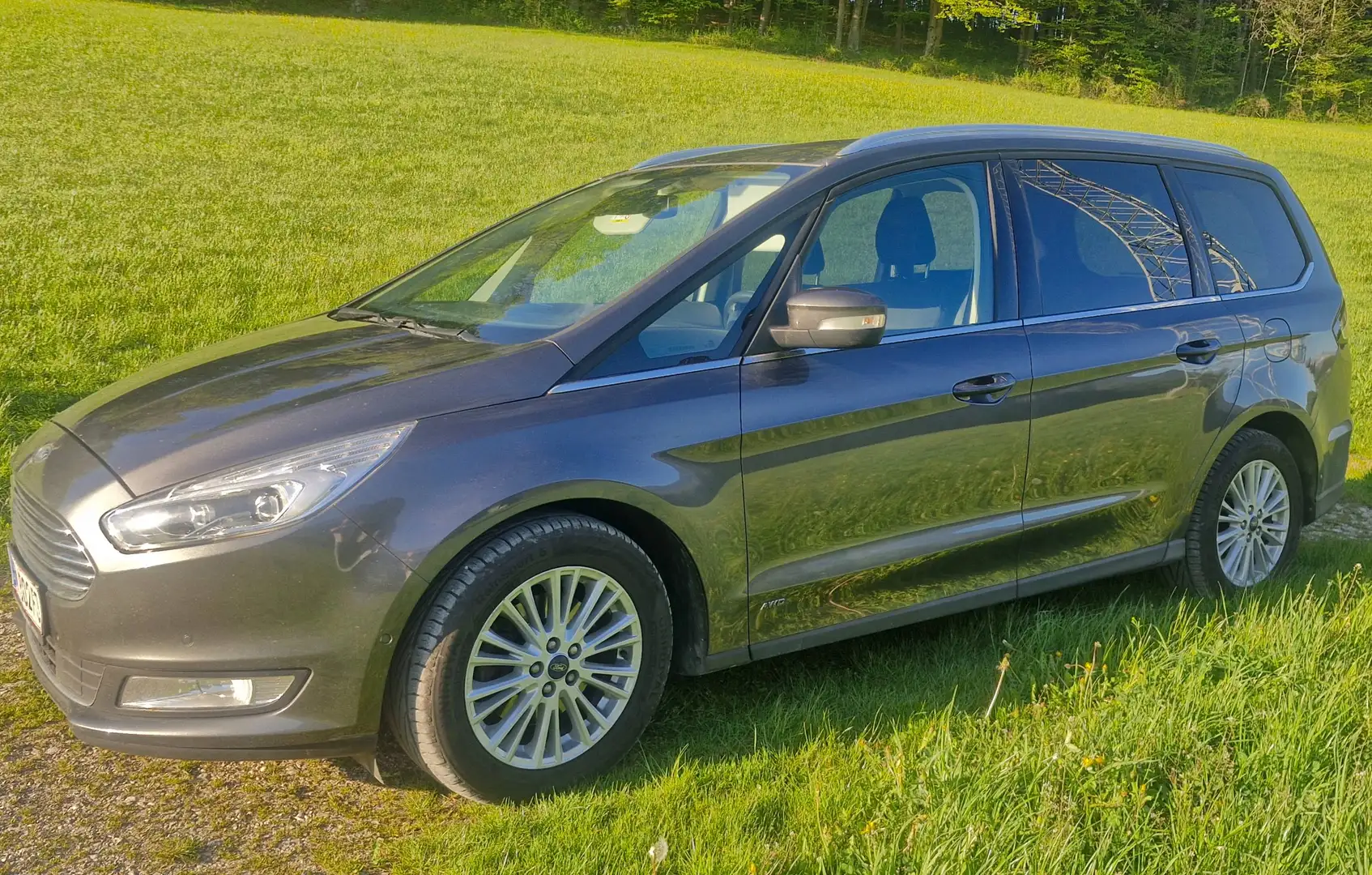 Ford Galaxy Galaxy 2,0 TDCi AWD Titanium Start/Stop Titanium Grau - 1