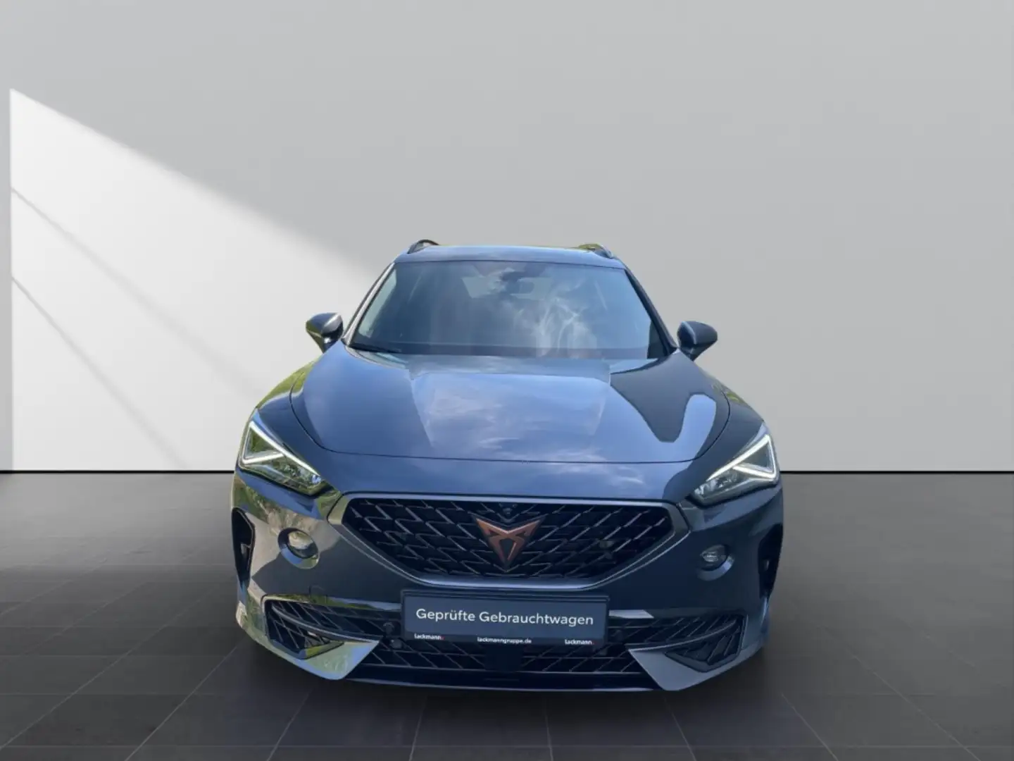 CUPRA Formentor 2.0 4Drive*Beats*360*Pano*CarPlay* Grau - 2