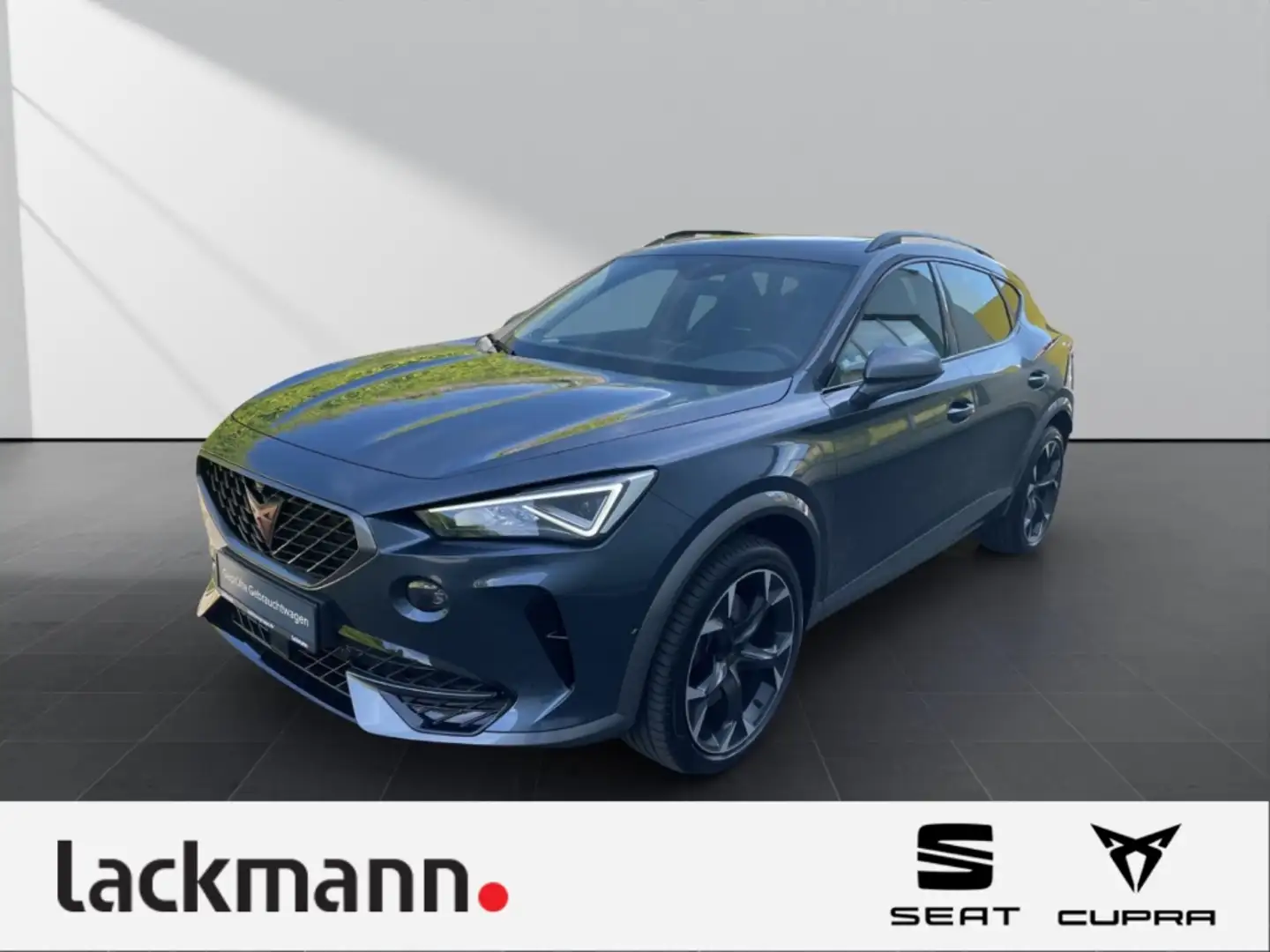 CUPRA Formentor 2.0 4Drive*Beats*360*Pano*CarPlay* Grau - 1