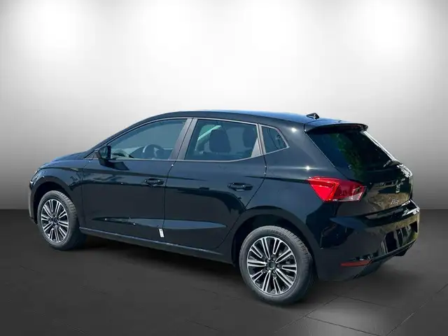 Seat Ibiza view 4