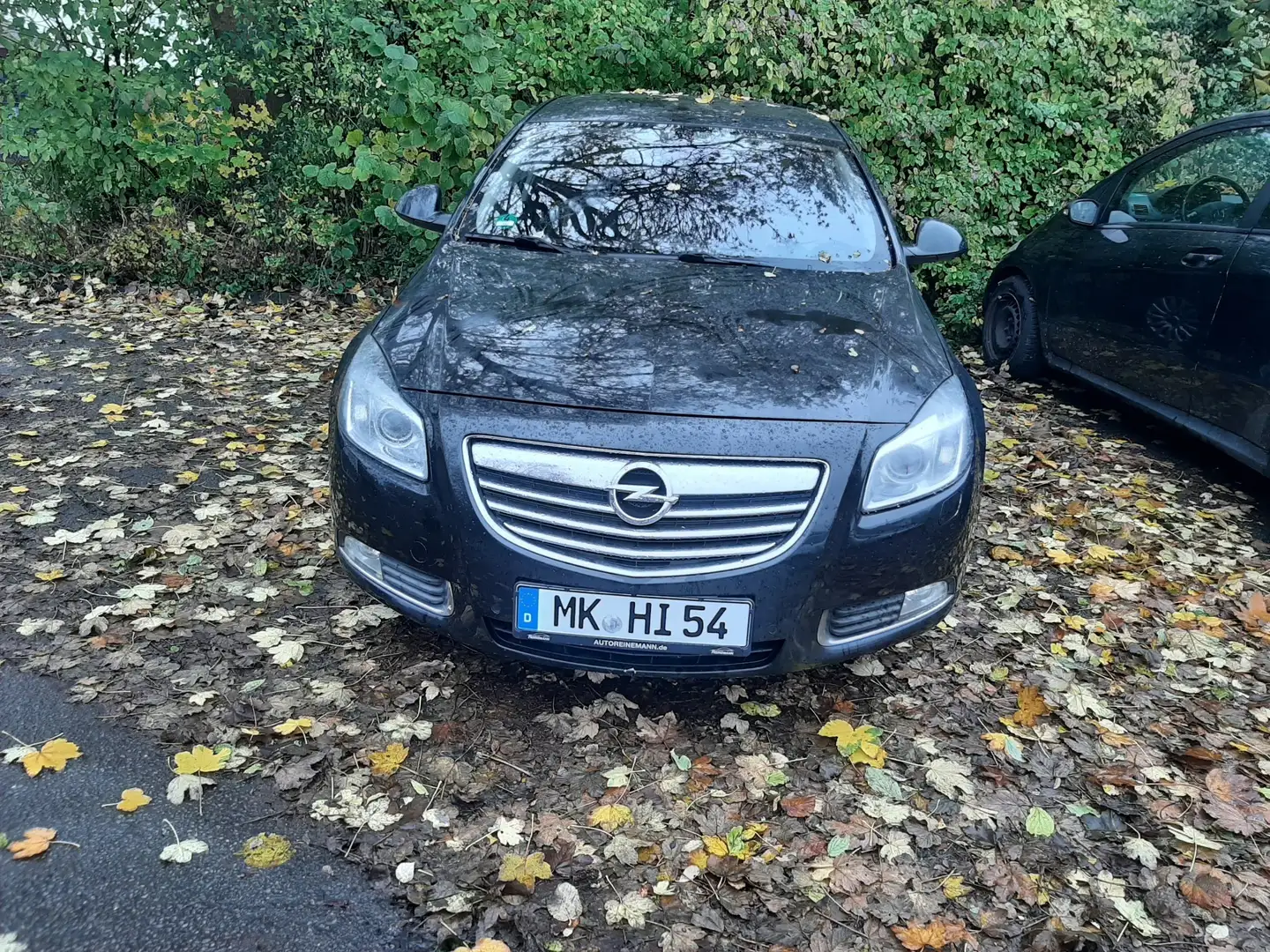 Opel Insignia 2.0 CDTI Schwarz - 1