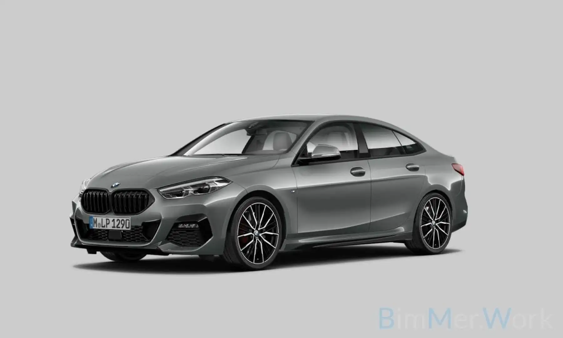 BMW 218 M Sport Kamera DAB HiFi 19Zoll Grau - 1