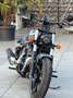Indian Chief Dark Horse Gri - thumbnail 5