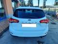 Ford Focus Focus SW 1.5 ecoblue Business Co-pilot s Bianco - thumbnail 4