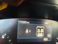Ford Focus Focus SW 1.5 ecoblue Business Co-pilot s Bianco - thumbnail 9