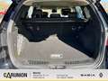 Renault Koleos INITIALE PARIS  BLUE dCi 185 4WD Zwart - thumbnail 12