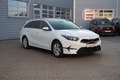 Kia Ceed SW / cee'd SW Ceed SW 1.5 T-GDI Kamera Android Apple Navi DAB Weiß - thumbnail 4