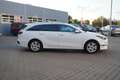 Kia Ceed SW / cee'd SW Ceed SW 1.5 T-GDI Kamera Android Apple Navi DAB Weiß - thumbnail 5