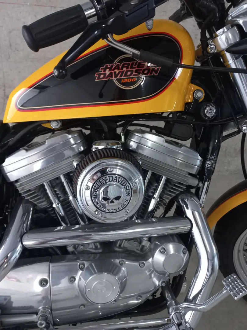 Harley-Davidson Sportster 1200 Sportster 1200 Giallo - 2