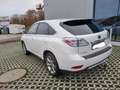 Lexus RX 450h (hybrid) Executive Line AWD Blanc - thumbnail 1