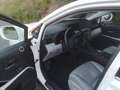 Lexus RX 450h (hybrid) Executive Line AWD Blanc - thumbnail 6
