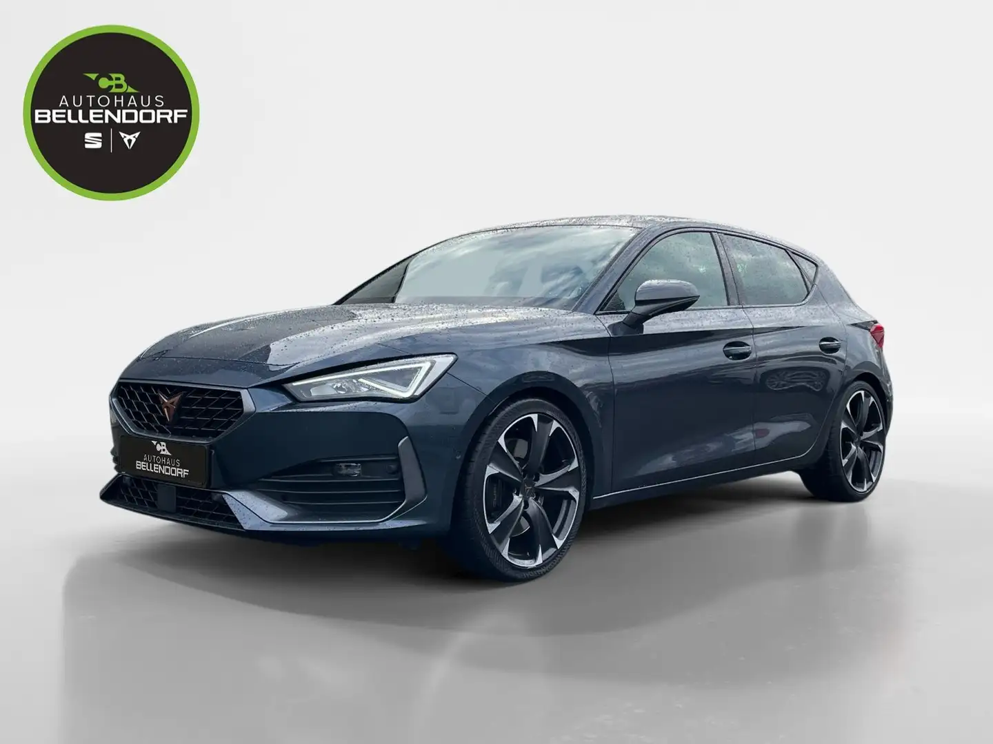 CUPRA Leon 2.0 TSI DSG VZ Navi Schiebedach Leder Grau - 1