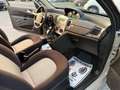 Lancia Ypsilon 1.4 8v Oro Giallo Beige - thumbnail 17