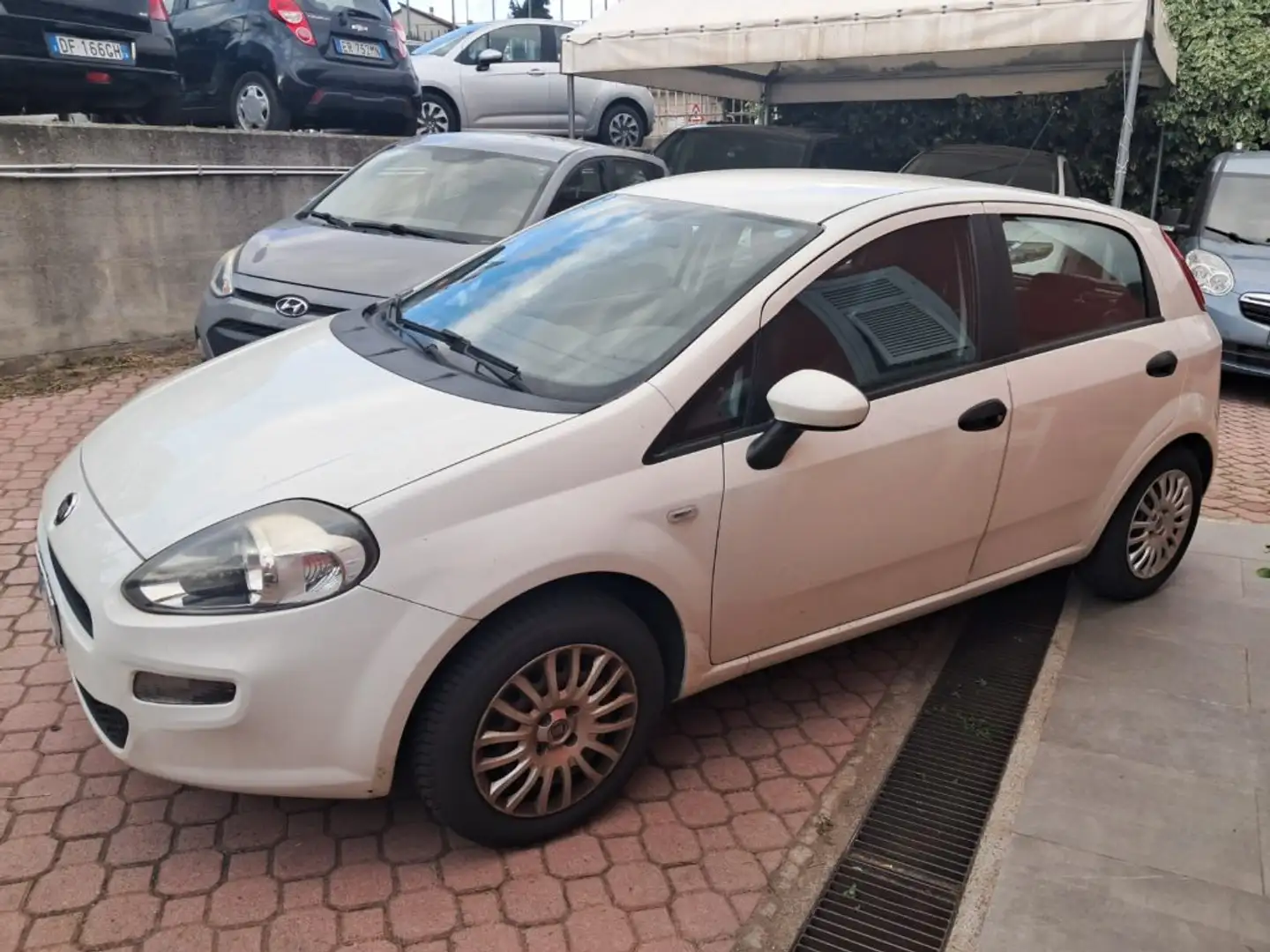 Fiat Punto Evo 1.3 MJ Blanco - 1