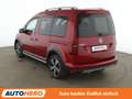 Volkswagen Caddy 1.4 TSI Alltrack BlueMotion Aut.*NAV*XENON*ACC*CAM Rojo - thumbnail 4