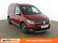 Volkswagen Caddy 1.4 TSI Alltrack BlueMotion Aut.*NAV*XENON*ACC*CAM Rojo - thumbnail 8